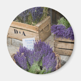 Lavendel te koop, Provence, Frankrijk Magneet