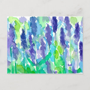 Lavendel Tuin Aquarel Schilderij Briefkaart