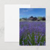 Lavendel Veld & Schuur Notitiekaartje (Voorkant / Achterkant)