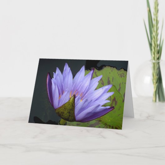 Lavendel Waterlelie Kaart (Voorkant)