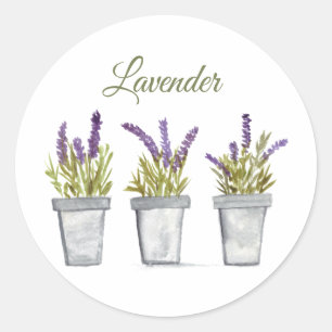 Lavendel Waterverf Kruiden Keuken Paarse Ronde Sticker