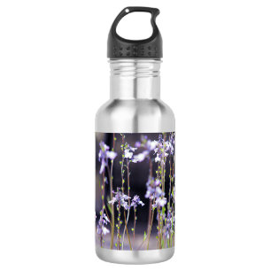 Lavendel Wilde Bloemen Waterfles