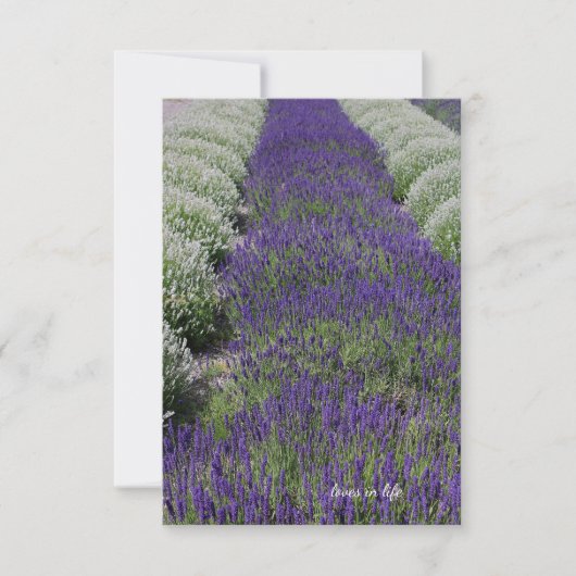 Lavendel & witte rijen notitiekaartje (Voorkant)