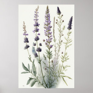 Lavendelbloemen Art Print Poster