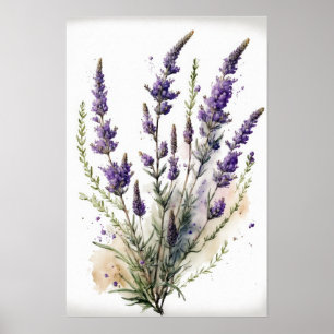 Lavendelbloemen Art Print Poster