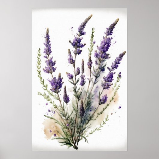 Lavendelbloemen Art Print Poster (Voorkant)
