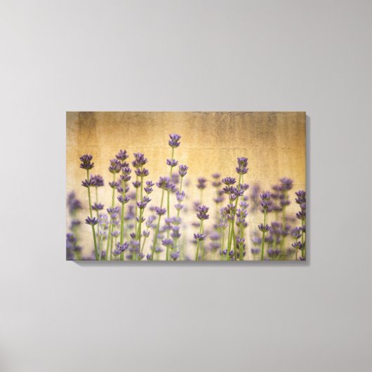 lavendelbloemen canvas afdruk (Voorkant)