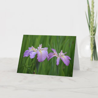 Lavendelbloemen Notecards Kaart