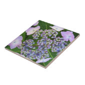 Lavendelkant Pet Hydrangea Bloom Tegel Tegeltje (Zijkant)