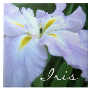 Lavendelkleurige iris (foto) tegeltje