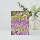 Lavendeltuin Fotoprint Briefkaart (Staand voorkant)