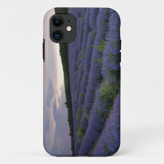 Lavendelveld bij zonsondergang Case-Mate iPhone case (Achterkant)