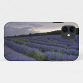 Lavendelveld bij zonsondergang Case-Mate iPhone case (Achterkant (horizontaal))