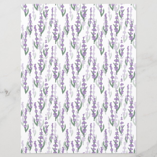 Lavendelveld provence paarse bloem (Voorkant)