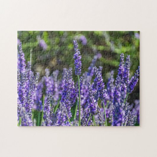 Lavendepuzzel Legpuzzel (Horizontaal)