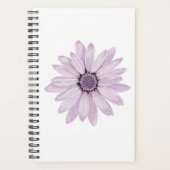 Lavender (Devant)