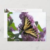 Lavender Aftermiddag Briefkaart (Voorkant / Achterkant)