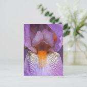 Lavender Bearded Iris Flower Petal Briefkaart (Staand voorkant)