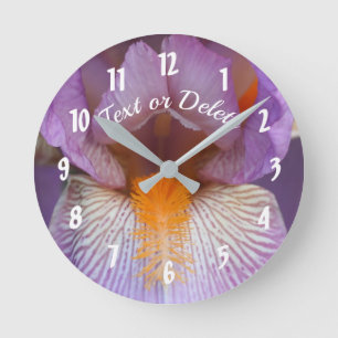 Lavender Bearded Iris Flower Petals Specialized  Ronde Klok