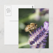Lavender Bee Briefkaart (Voorkant / Achterkant)