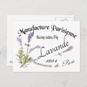  lavender briefkaart (Voorkant / Achterkant)