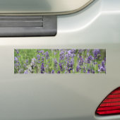 Lavender Bumpersticker (Op auto)