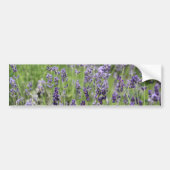 Lavender Bumpersticker (Voorkant)