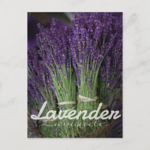 Lavender Bunch Briefkaart