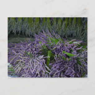 Lavender Bunches Briefkaart