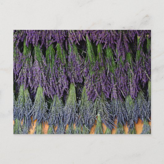 Lavender Bunches op een droog rack Briefkaart (Voorkant)