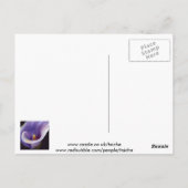 Lavender Calla Lily Briefkaart (Achterkant)