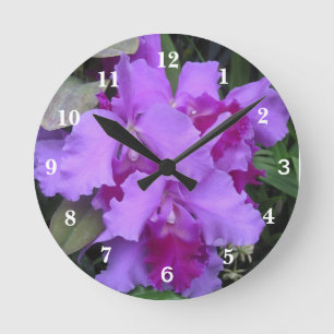 Lavender Catleya Orchids Ronde Klok