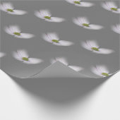 Lavender Cosmos flower op Grey Cadeaupapier (Hoek)