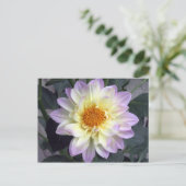 Lavender Creme Dahlia Briefkaart (Staand voorkant)