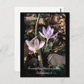 Lavender Crocus Briefkaart (Voorkant / Achterkant)