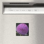 Lavender Dahlia Magnet (In Situ (Lave-vaisselle))