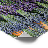 Lavender Drying Rack Poster (Hoek)