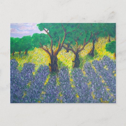 Lavender Field Briefkaart (Voorkant)