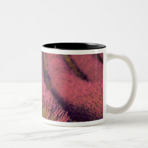 Lavender field in High Provence, France 2 Tweekleurige Koffiemok