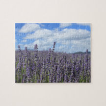 Lavender Field met Blue Sky en White Clouds