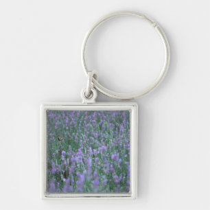 Lavender Field Sleutelhanger