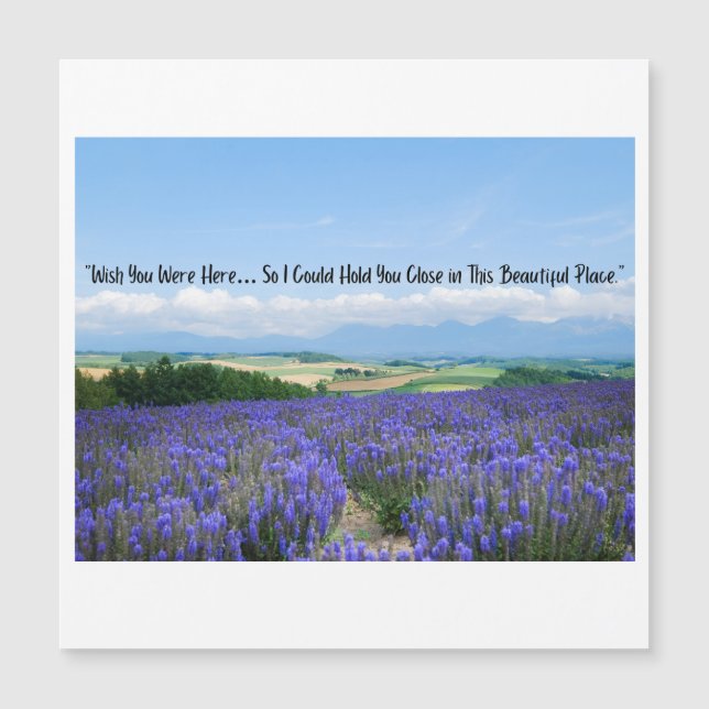 Lavender Fields-Briefkaarten (Voorkant)