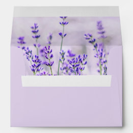 Lavender Fields bruiloft envelop
