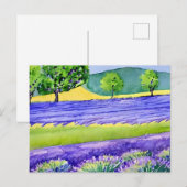 Lavender fields France Briefkaart (Voorkant / Achterkant)