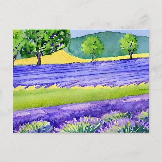 Lavender fields France Briefkaart (Voorkant)