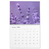 Lavender Fields Kalender (Jan 2026)