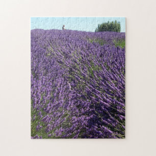 Lavender Fields of Sequim, WA Photo Legpuzzel