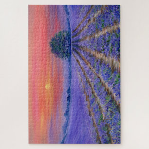 Lavender Fields op Sunset Legpuzzel