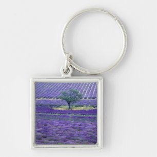 Lavender fields, Vence, Provence, Frankrijk Sleutelhanger