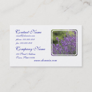  Lavender Fields Visitekaartjes